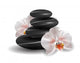 Orchids and Zen Stones