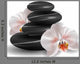 Orchids and Zen Stones