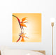 Bird of paradise, orange background Wall Mural