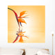 Bird of paradise, orange background Wall Mural