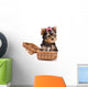 Yorkshire Terrier (York) puppy in box Wall Decal