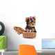 Yorkshire Terrier (York) puppy in box Wall Decal