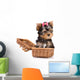 Yorkshire Terrier (York) puppy in box Wall Decal