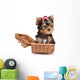 Yorkshire Terrier (York) puppy in box Wall Decal