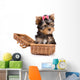 Yorkshire Terrier (York) puppy in box Wall Decal