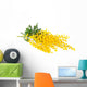 Twig of mimosa flowers Wall Decal