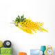Twig of mimosa flowers Wall Decal