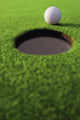 Golf Ball On Lip Of Cup Wall Mural