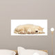 Border Collie Puppy 6 Wall Decal