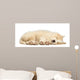 Border Collie Puppy 6 Wall Decal