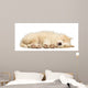 Border Collie Puppy 6 Wall Decal