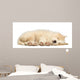 Border Collie Puppy 6 Wall Decal