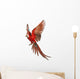Green-winged Macaw Taking Off Wall Decal