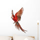 Green-winged Macaw Taking Off Wall Decal