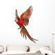 Green-winged Macaw Taking Off Wall Decal
