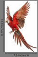 Green-winged Macaw Taking Off Wall Decal
