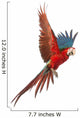 Green-Winged Macaw Wall Decal
