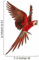 Green-Winged Macaw Wall Decal