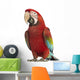 Walking Green-winged Macaw Wall Decal