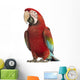 Walking Green-winged Macaw Wall Decal
