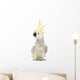 Sulphur-crested Cockatoo, Cacatua galerita, 30 years old Wall Decal
