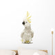 Sulphur-crested Cockatoo, Cacatua galerita, 30 years old Wall Decal