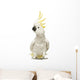Sulphur-crested Cockatoo, Cacatua galerita, 30 years old Wall Decal