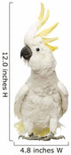Sulphur-crested Cockatoo, Cacatua galerita, 30 years old Wall Decal