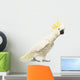 Sulphur-crested Cockatoo, Cacatua galerita, 30 years old Wall Decal
