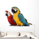 Blue-and-yellow Macaw Wall Decal