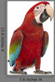 Green-winged Macaw Wall Decal