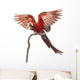 Green-winged Macaw Landing on a Branch Wall Decal