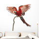 Green-winged Macaw Landing on a Branch Wall Decal