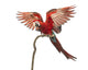 Green-winged Macaw Landing on a Branch Wall Decal
