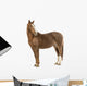 Horse Looking at Camera Wall Decal