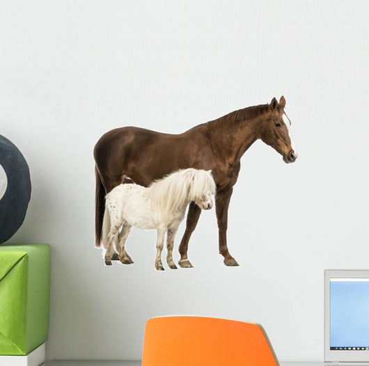 Horse and Shetland Wall Decal