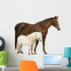 Horse and Shetland Wall Decal