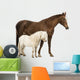 Horse and Shetland Wall Decal