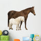 Horse and Shetland Wall Decal