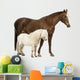 Horse and Shetland Wall Decal