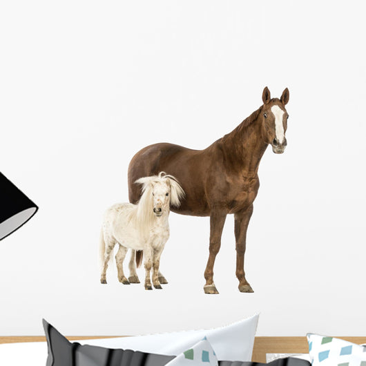 Shetland Pony Horse Wall Decal