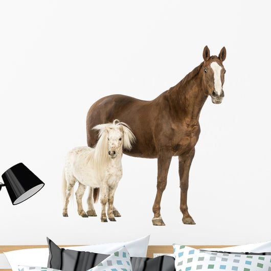 Shetland Pony Horse Wall Decal