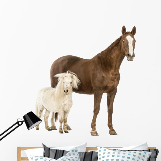 Shetland Pony Horse Wall Decal