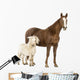 Shetland Pony Horse Wall Decal