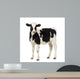 Calf Looking at the Camera Wall Decal