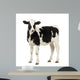 Calf Looking at the Camera Wall Decal