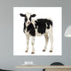 Calf Looking at the Camera Wall Decal