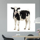 Calf Looking at the Camera Wall Decal