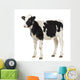 Calf Looking Away Wall Decal