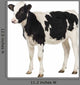 Calf Looking Away Wall Decal